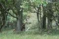 bd_DSC00221 (2)